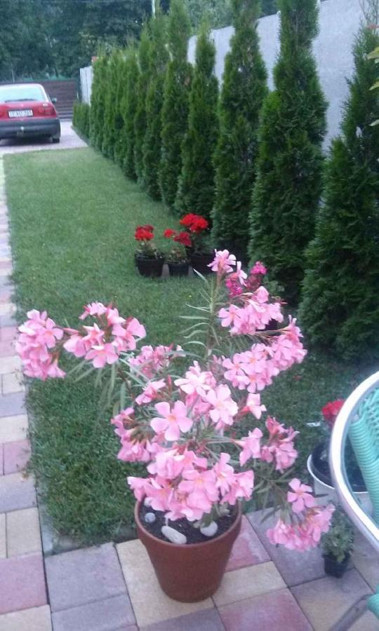Holiday Home In Keszthely/Balaton 39648 Dış mekan fotoğraf